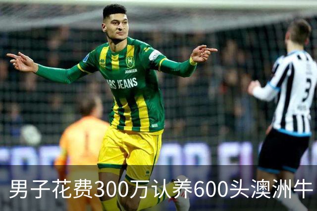 男子花费300万认养600头澳洲牛，结果却是空中楼阁
